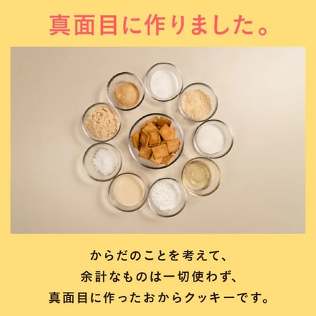 真面目なおからクッキー プレーン 6袋