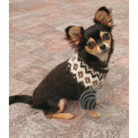 pattern_lopidesigh_Voff