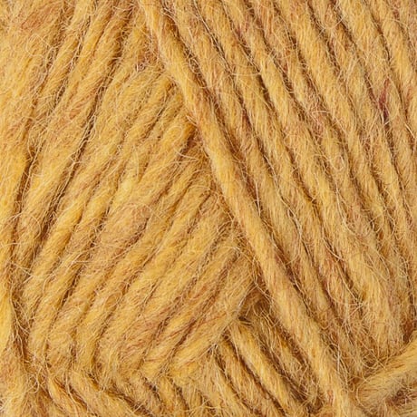 Álafosslopi_9964_golden （サンプル）