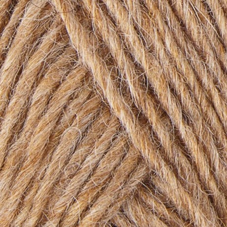 Léttlopi_1419_Barley_麦 (サンプル）