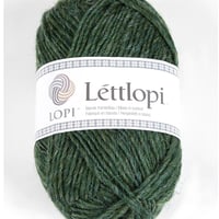 Léttlopi_1706_Lyme Grass_煎茶（せんちゃ）（サンプル）