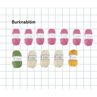 毛糸set 「Burknablóm/fern Frower]