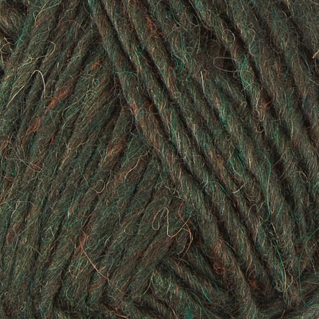 Álafosslopi_9966_cypress green_黒板