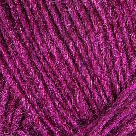 Léttlopi_1705_Royal Fuchsia_紫キャベツ
