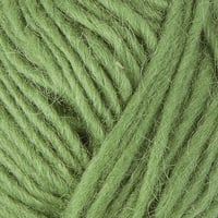Álafosslopi_9983_apple green_青リンゴ