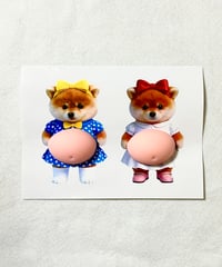 【海外製】犬 ぽっちゃりシール