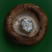 Web ring