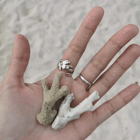 Kelp ring