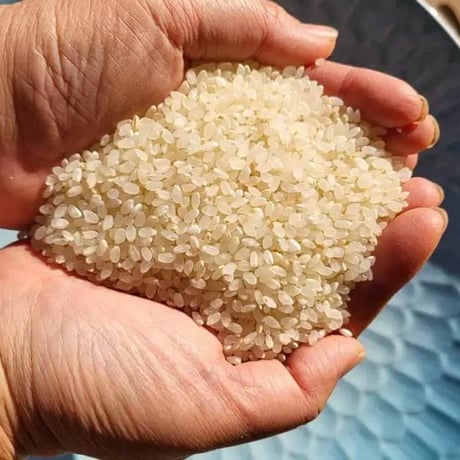 【令和7年新米】農薬不使用・無施肥　上白米　灯かり米(ヒノヒカリ)　箱込　10kg