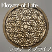 【フラワーオブライフ】