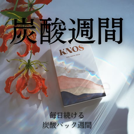 炭酸ガスパック | STORES