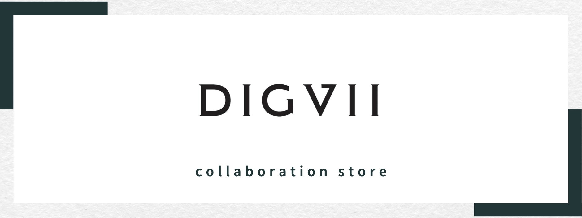 DIGVII Collaboration STORE