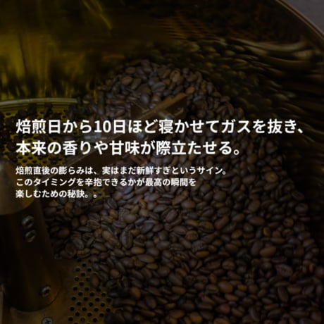 自家焙煎 |【中深煎り】コスタリカ・ジャガーハニー・SHB  (100g)