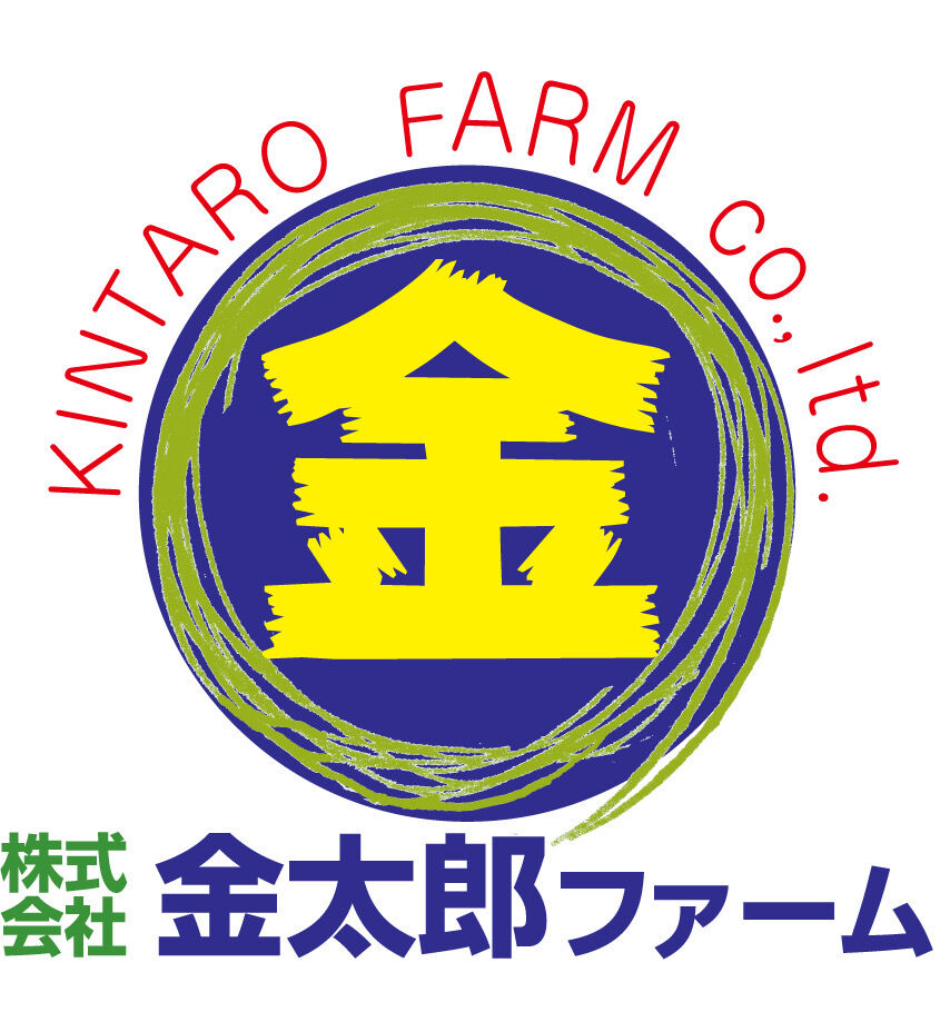 金太郎バナナ