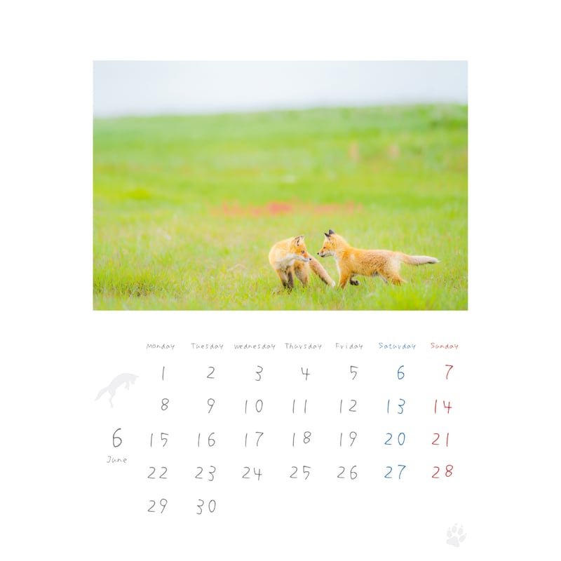 キタキツネ』カレンダー (2026年 卓上A6) | きつねいろ