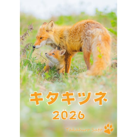キタキツネ | STORES