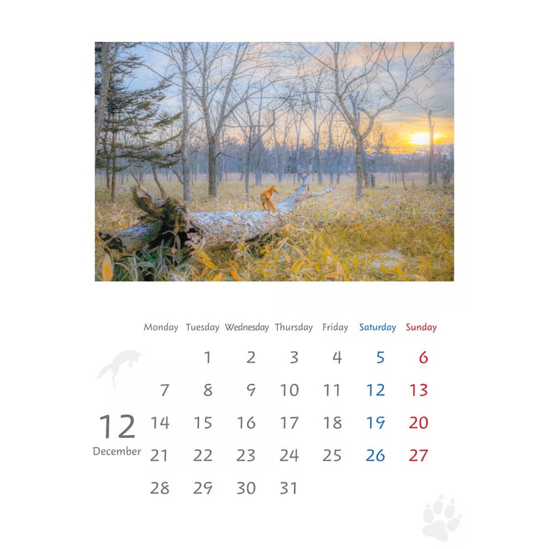 つねりんページです♥️ キタキツネ』カレンダー (2026年 壁掛けA3) | きつねいろ