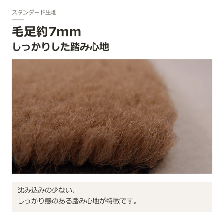 【受注生産】 プロボックス 160系 / フロアマット 1台分セット / 年式 平成26年(2014年)9月～ / ガソリン・ハイブリッド対応 / スタンダード / 選べる4色 FREAKS