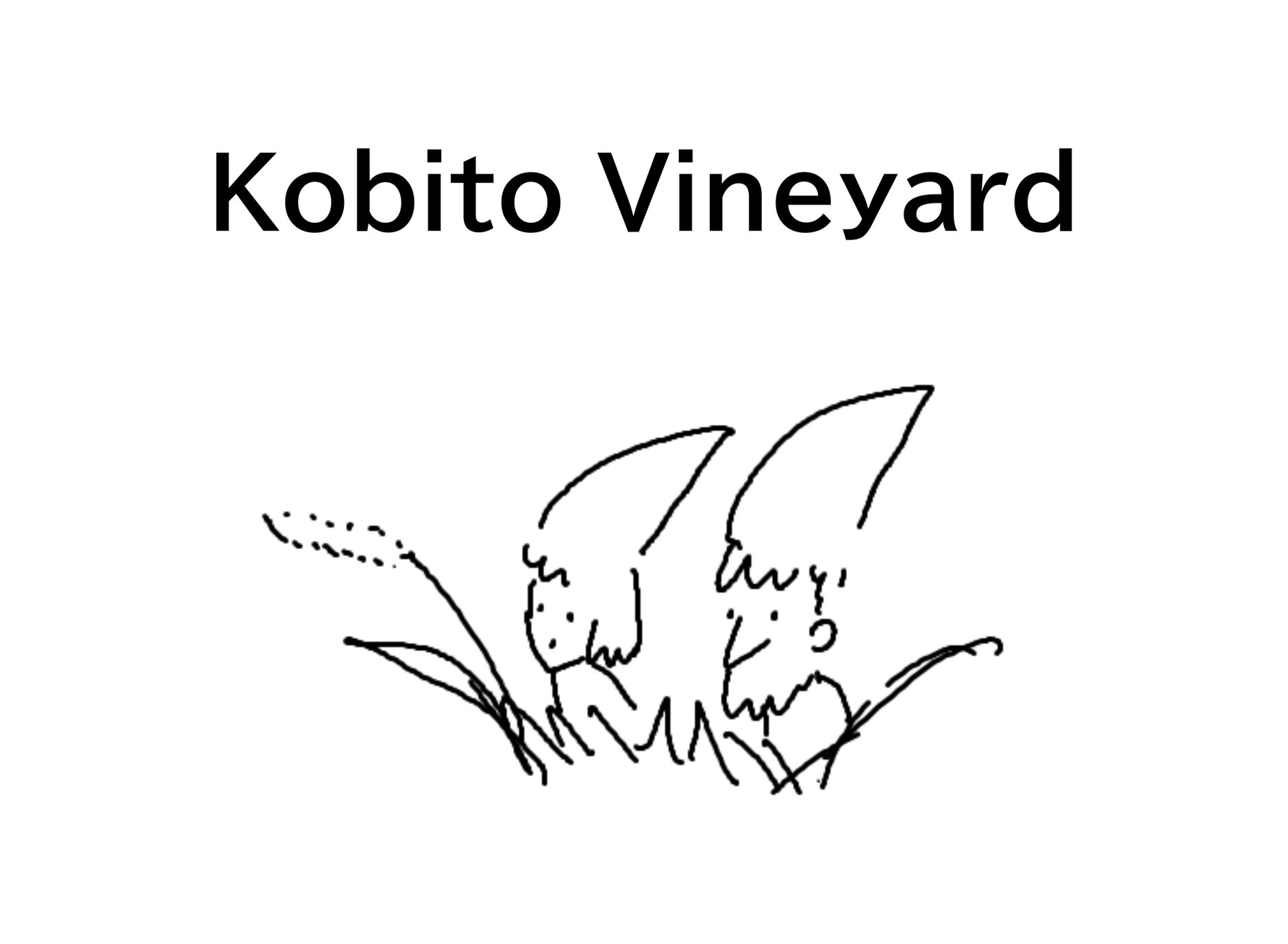 Kobito Vineyard's STORE
