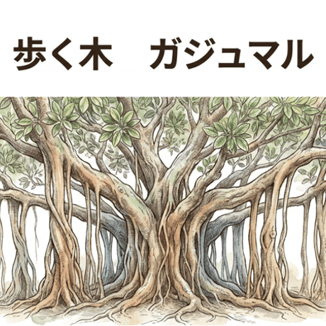 キジムナー出品 キジムナー | STORES