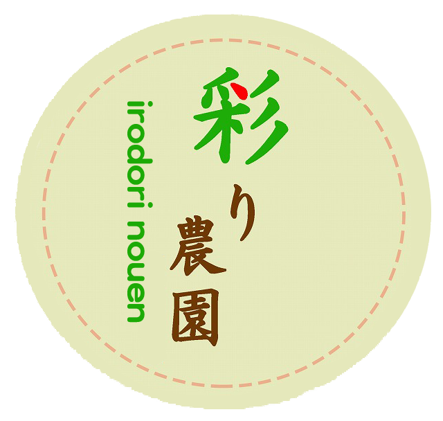 IrodrI-Nouen STORE