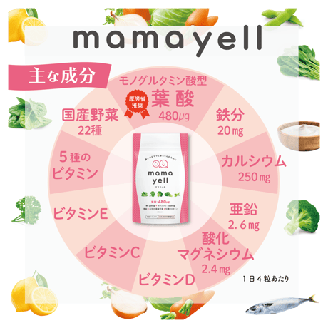 【送料無料】ママエール（スタンダード）定期便
