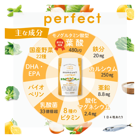 【送料無料＆単品より500円おトク】ママエール パーフェクト定期便