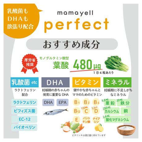 【送料無料＆単品より500円おトク】ママエール パーフェクト定期便