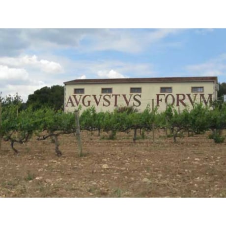 フォルム　アルベキーナ　オリーブオイル　500ml　スペイン　ペネデス産