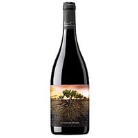 ガルナッチャ　オルビダーダ・デ・アラゴン　2021　750ml　スペイン　カラタユド