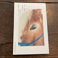 ここは安心安全な場所