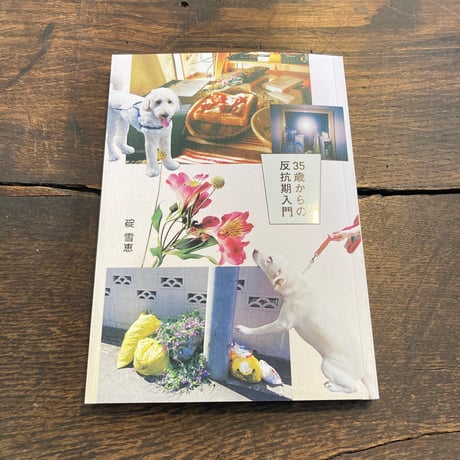 35歳からの反抗期入門