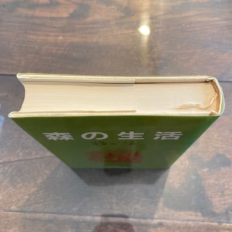 森の生活