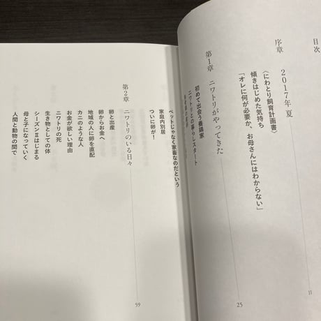 ニワトリと卵と、息子の思春期