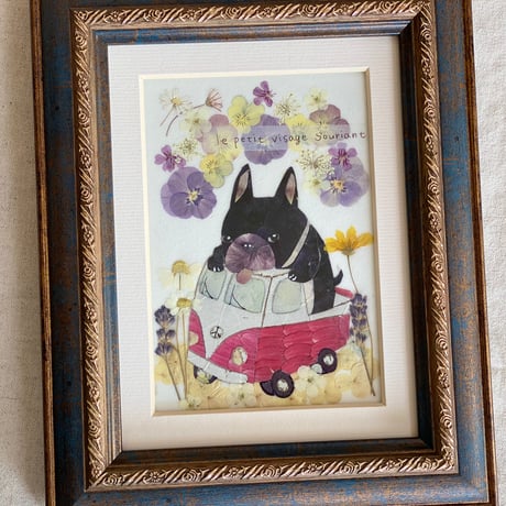 フレンチブルドッグ | STORES