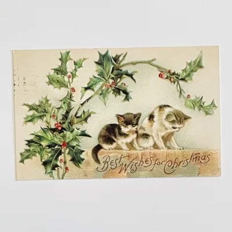 1907年 アンティーク クリスマス 猫 柊 ヒイラギ ポストカード アンティークポストカード | STORES