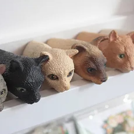 シャム猫 | STORES