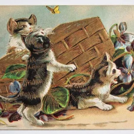 La Maison du Chat Noir