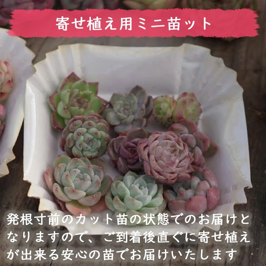 696d7e08e47f10171ba5150d