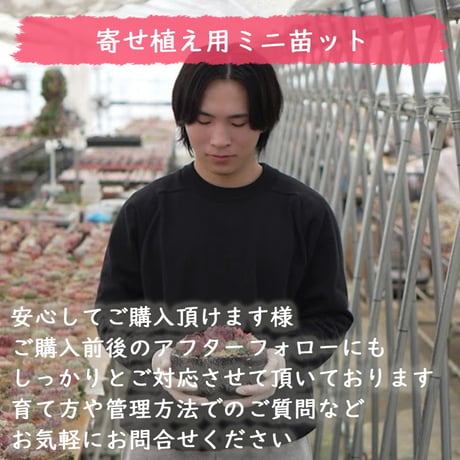 mini9　寄せ植えセットお任せ9苗セット