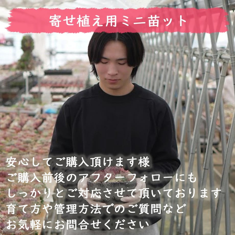 696d7e08e47f10171ba5150d