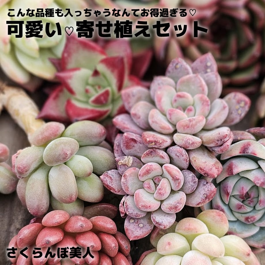 696df89652cef900422011ad