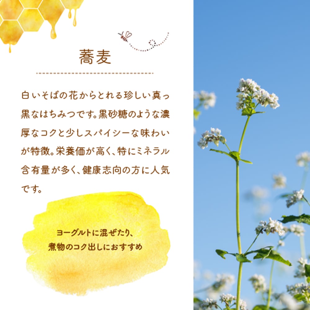 ギフトボックス入り》 結晶蜂蜜 そばはちみつ 北海道産 500g