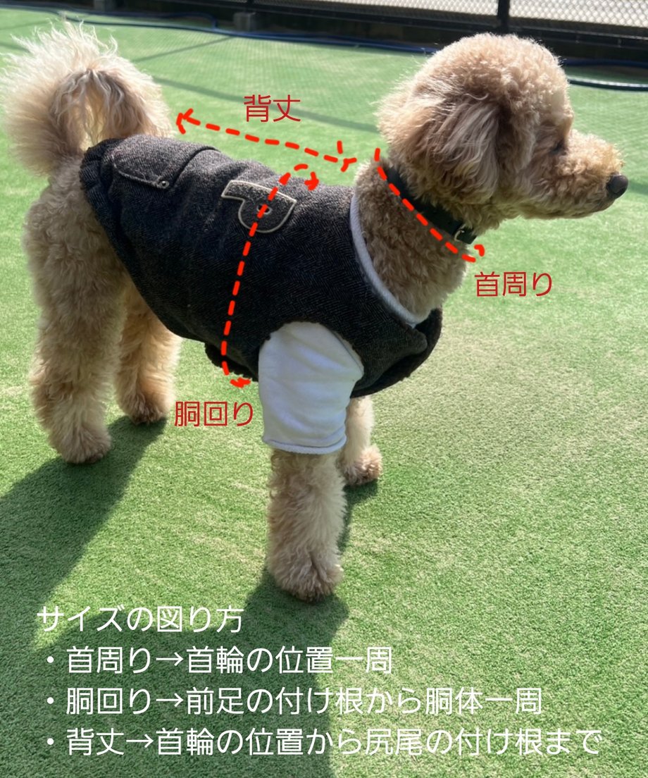 6a350809edfbca2243b8503a