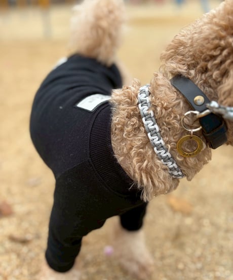 paracord collar typeA