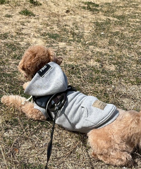 sleeveless hoodie