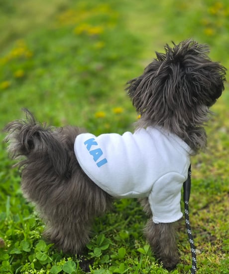 high neck sweatshirt