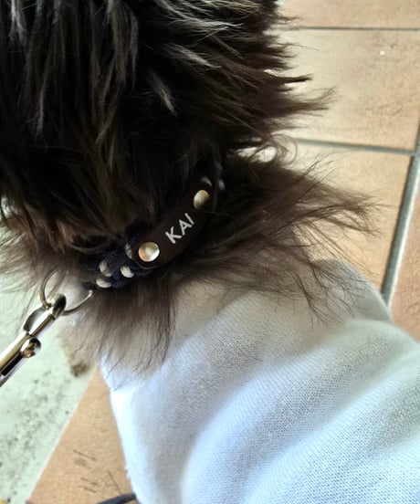 paracord collar typeB