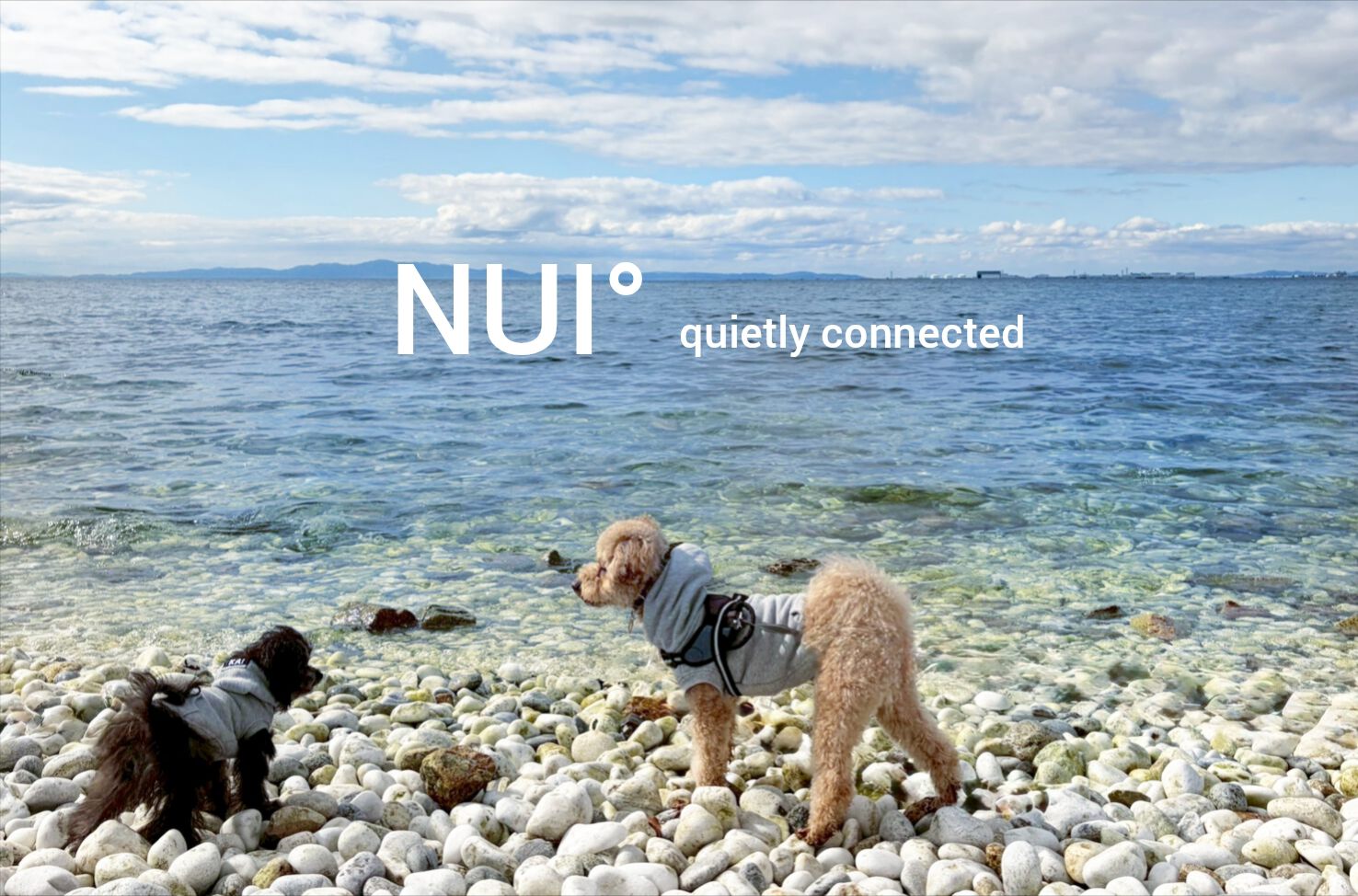 NUI°