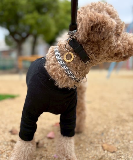 paracord collar typeA